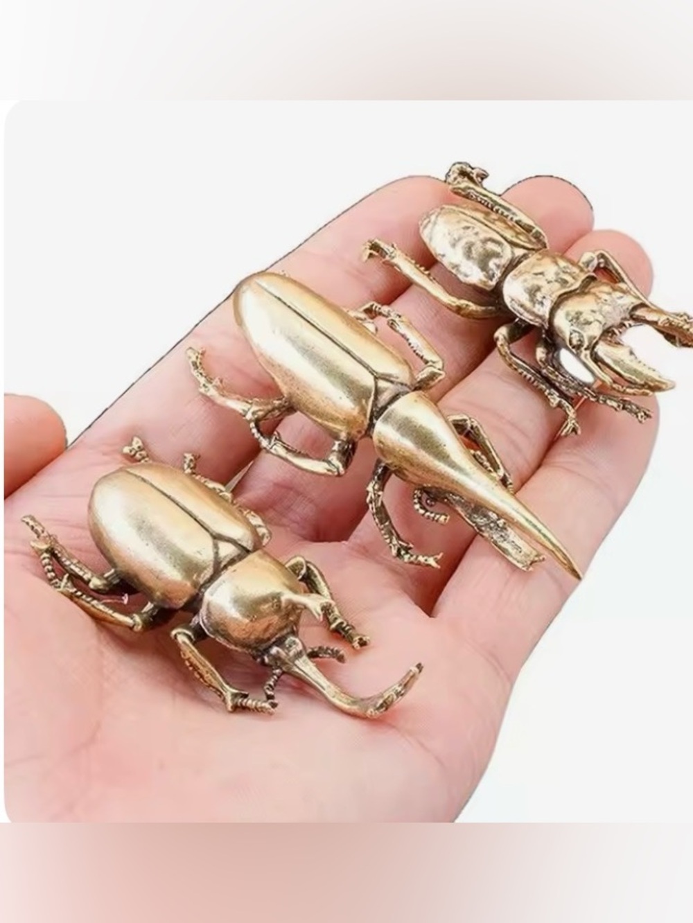 Beetles beetles beetles 🪲